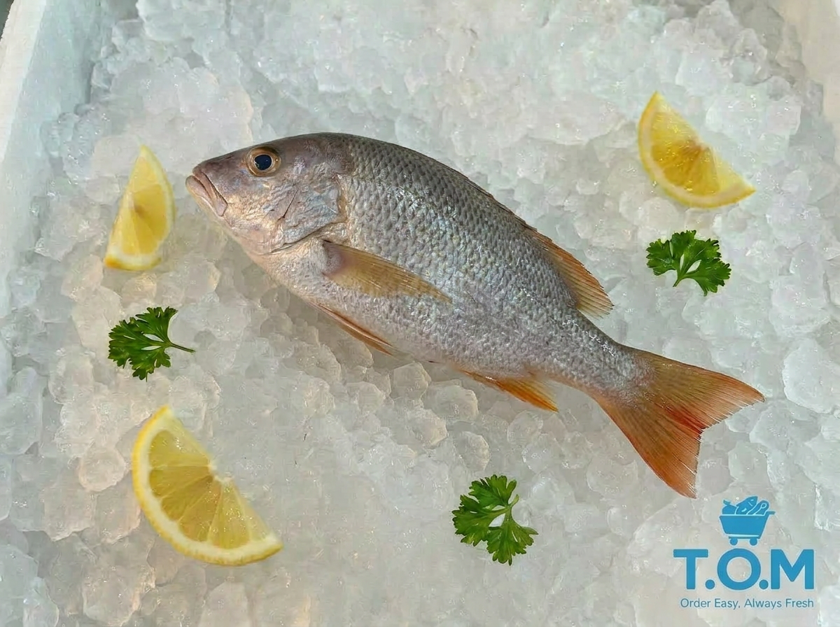 Golden snapper