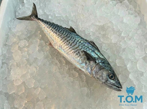 Whole Tenggiri
