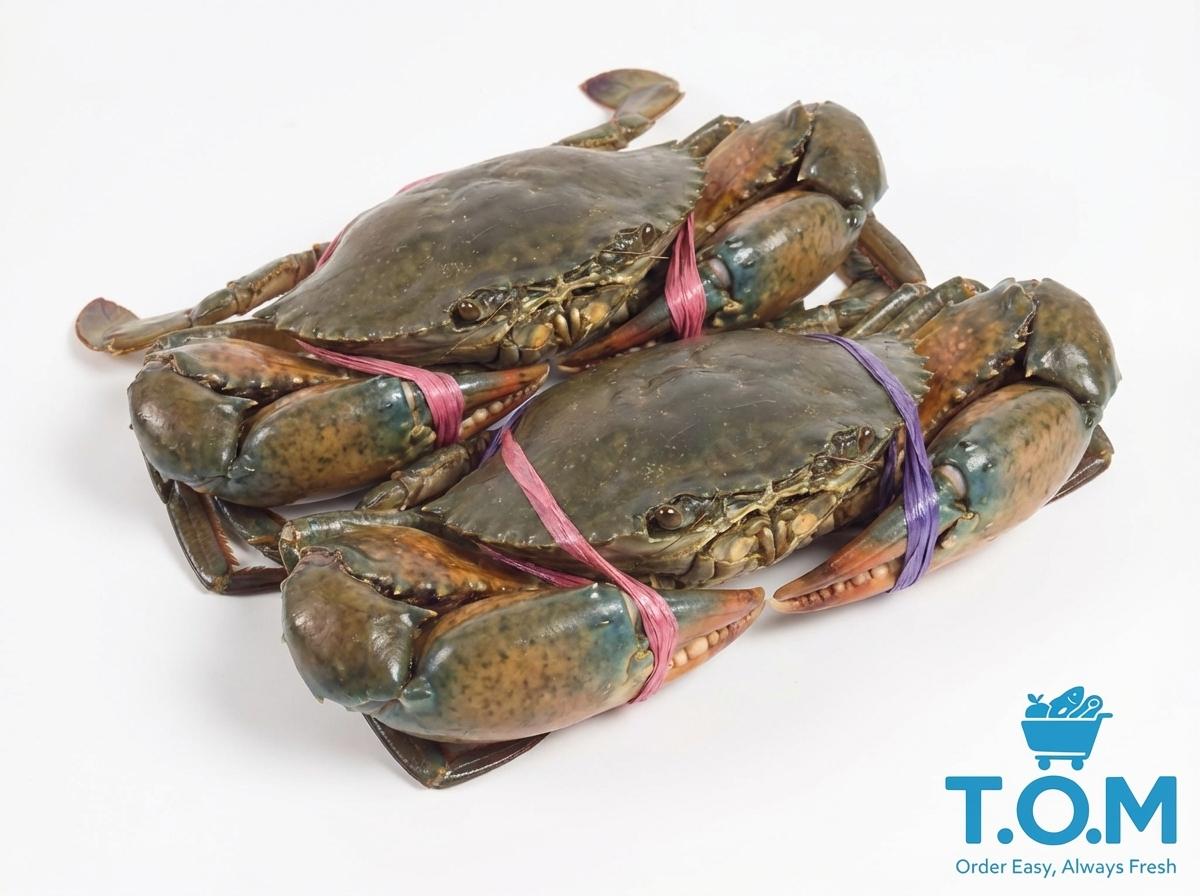 Mudcrab