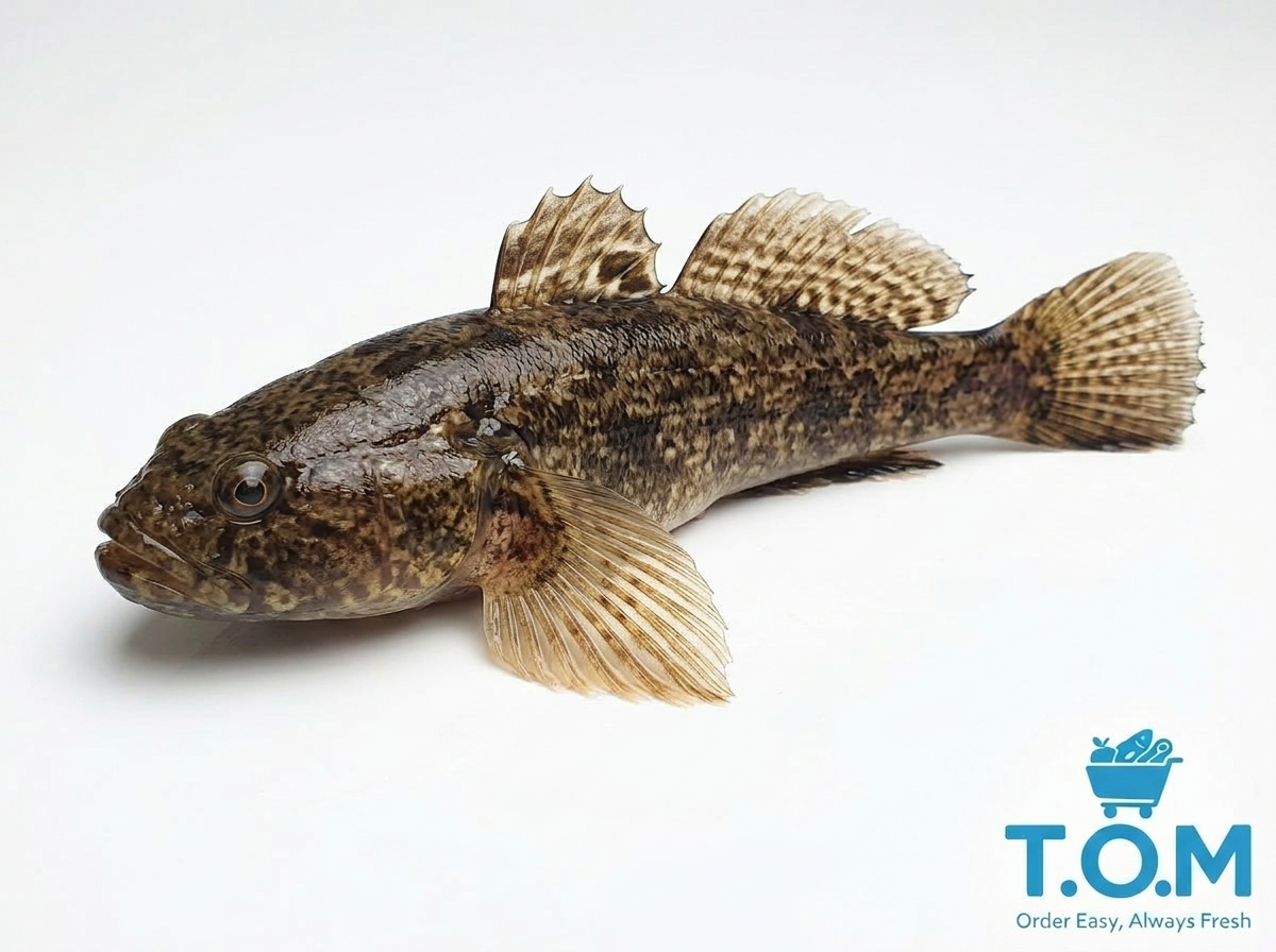 Marble Goby (Soon Hock)