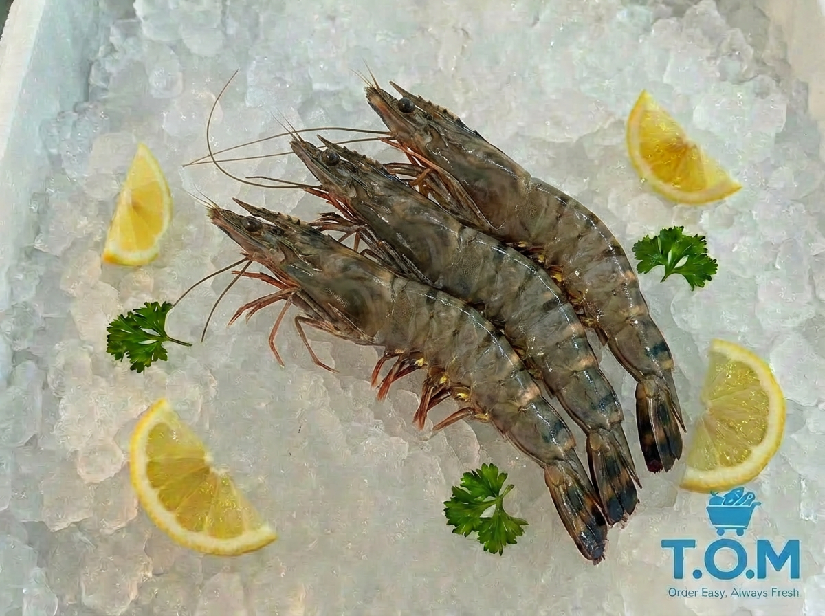 Tiger Prawn