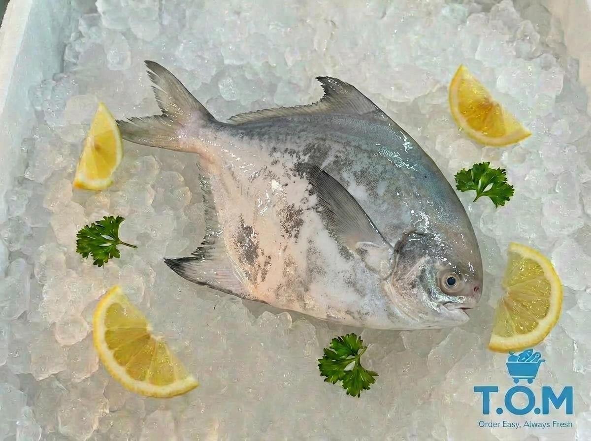 Chinese Pomfret
