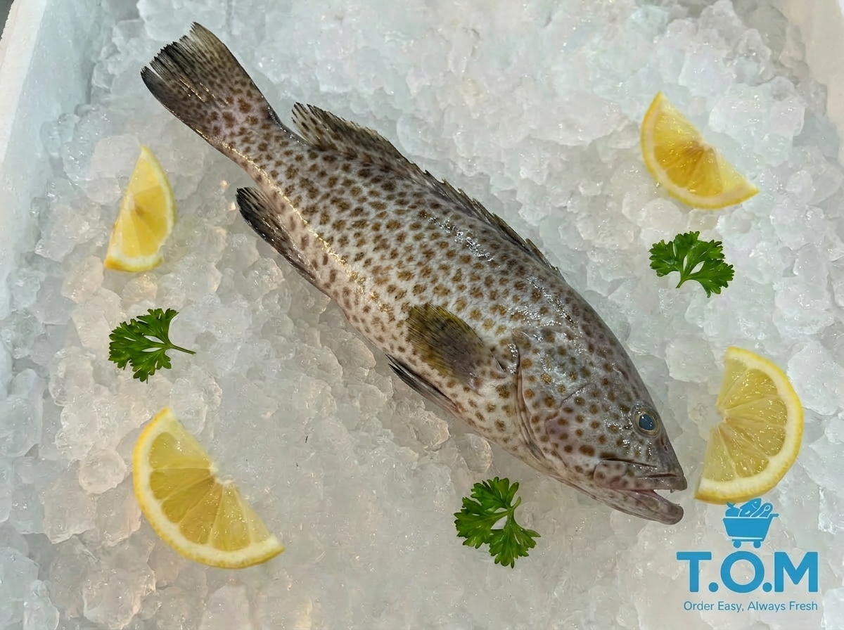 Flower Grouper