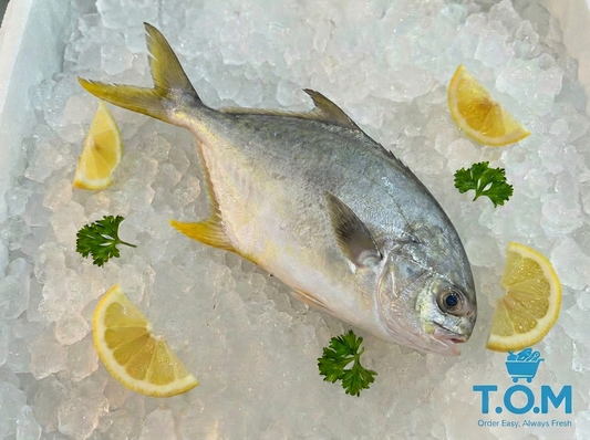 Golden Pomfret