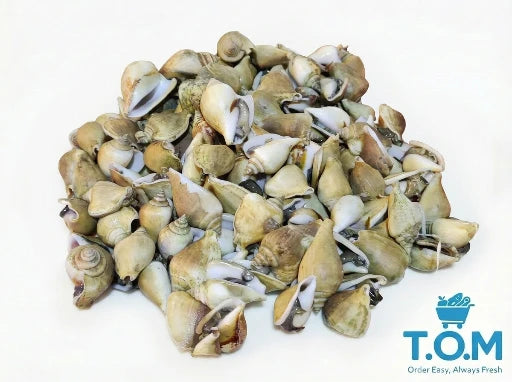 Frozen Gong Gong Meat