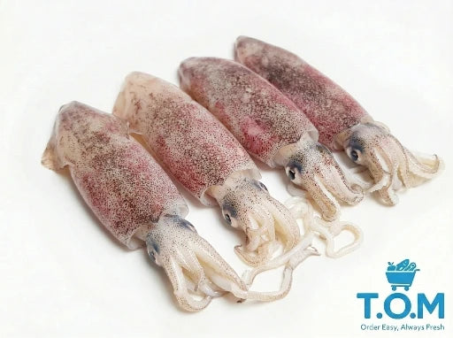 Frozen Sotong