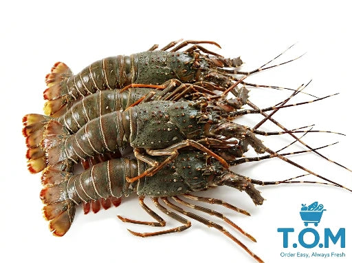 Frozen Bamboo Lobster