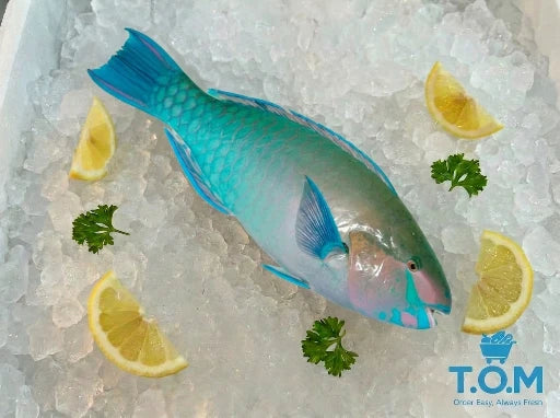 Parrot Fish