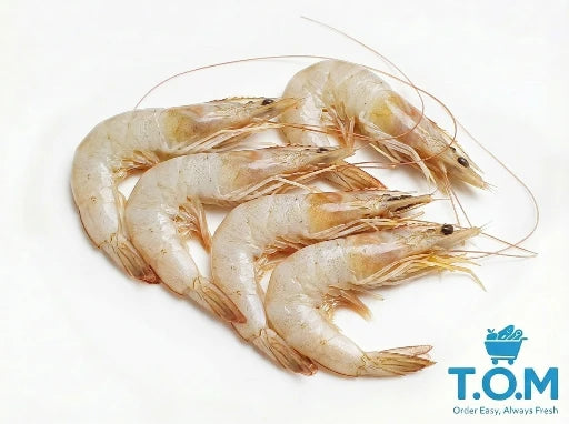Glass Prawn