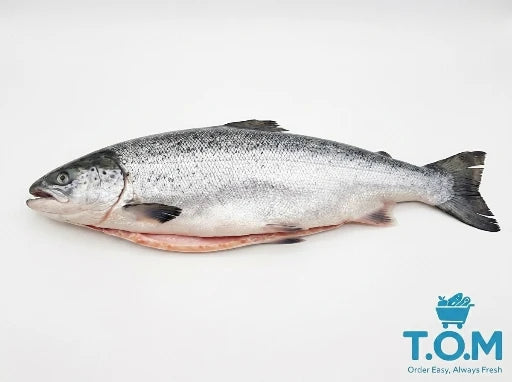 Whole Salmon