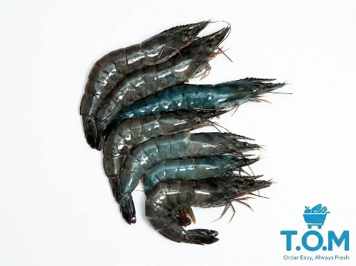 Live Prawn 16/20