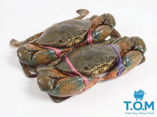 Mudcrab