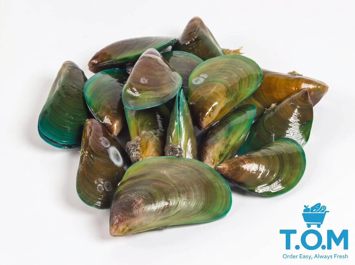 Mussels