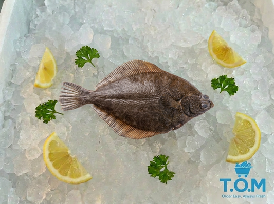 Flounder