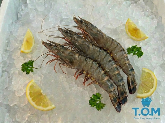 Tiger Prawn