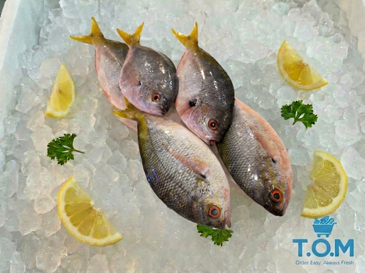 Yellow Tail